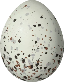 Illustration of a Bolivian Warbling Finch (Poospiza boliviana) egg, 19 × 14.9 mm