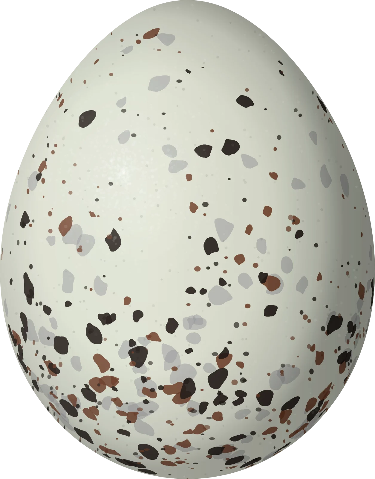 Illustration of a Bolivian Warbling Finch (Poospiza boliviana) egg, 19 × 14.9 mm