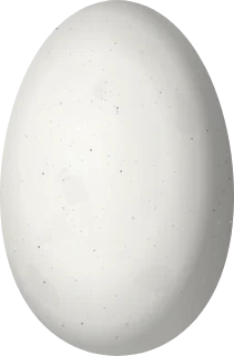 Illustration of a Brazilian Ruby (Heliodoxa rubricauda) egg, 13.5 × 8.9 mm
