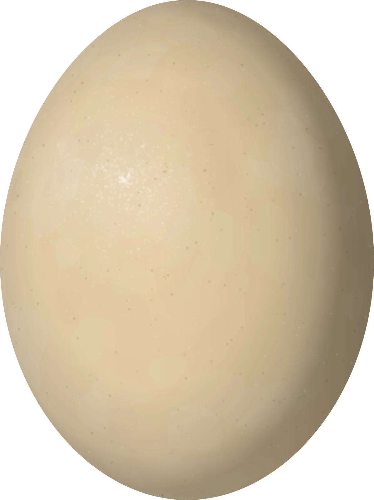 Illustration of a Bridled Quail-Dove (Geotrygon mystacea) egg, 29.5 × 22.1 mm