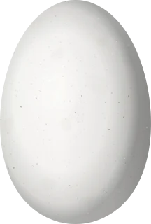 Illustration of a Broad-billed Hummingbird (Cynanthus latirostris) egg, 12.6 × 8.5 mm