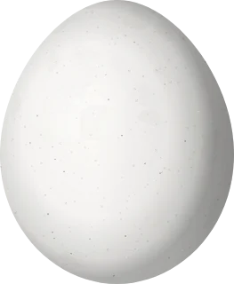 Illustration of a Broad-billed Motmot (Electron platyrhynchum) egg, 28 × 23 mm