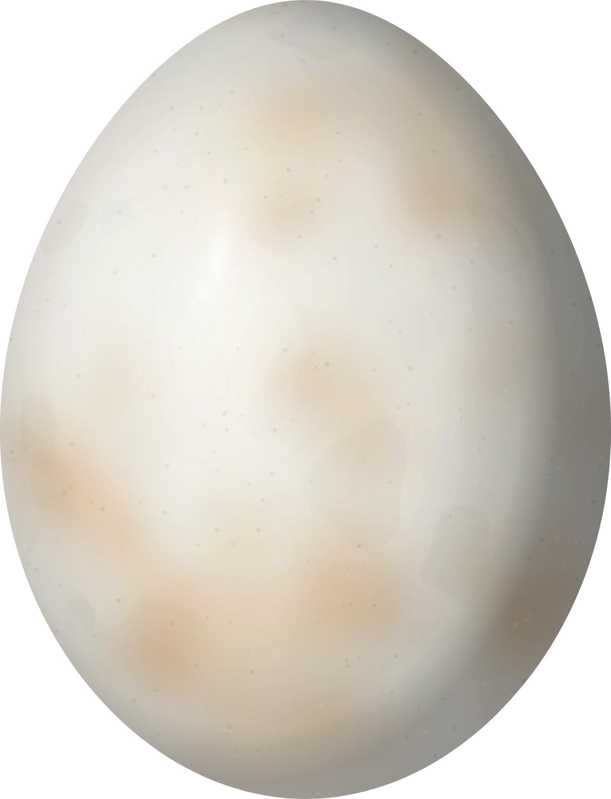Illustration of a Broad-billed Tody (Todus subulatus) egg, 17 × 13 mm