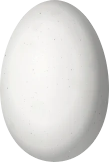 Illustration of a Broad-tailed Hummingbird (Selasphorus platycercus) egg, 13 × 8.8 mm