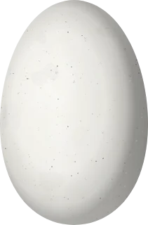 Illustration of a Broad-tipped Hermit (Anopetia gounellei) egg, 13.5 × 8.9 mm