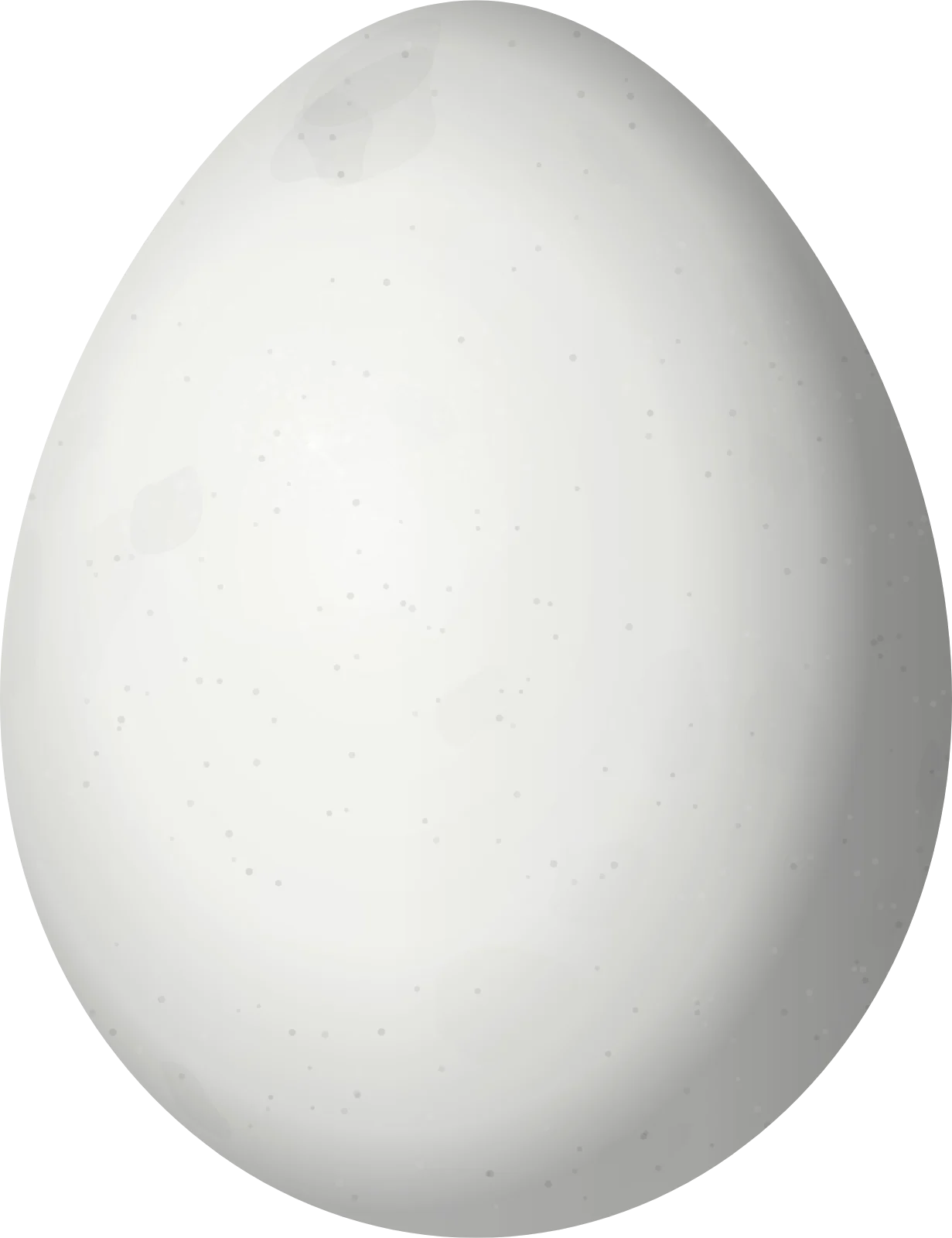 Illustration of a Bronze Mannikin (Spermestes cucullata) egg, 13 × 10 mm
