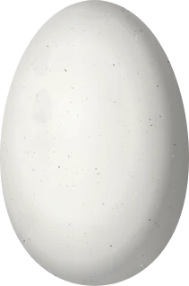 Illustration of a Bronze-tailed Comet (Polyonymus caroli) egg, 13.5 × 8.9 mm