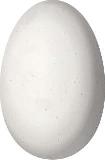 Illustration of a Bronze-tailed Thornbill (Chalcostigma heteropogon) egg, 13.5 × 8.9 mm