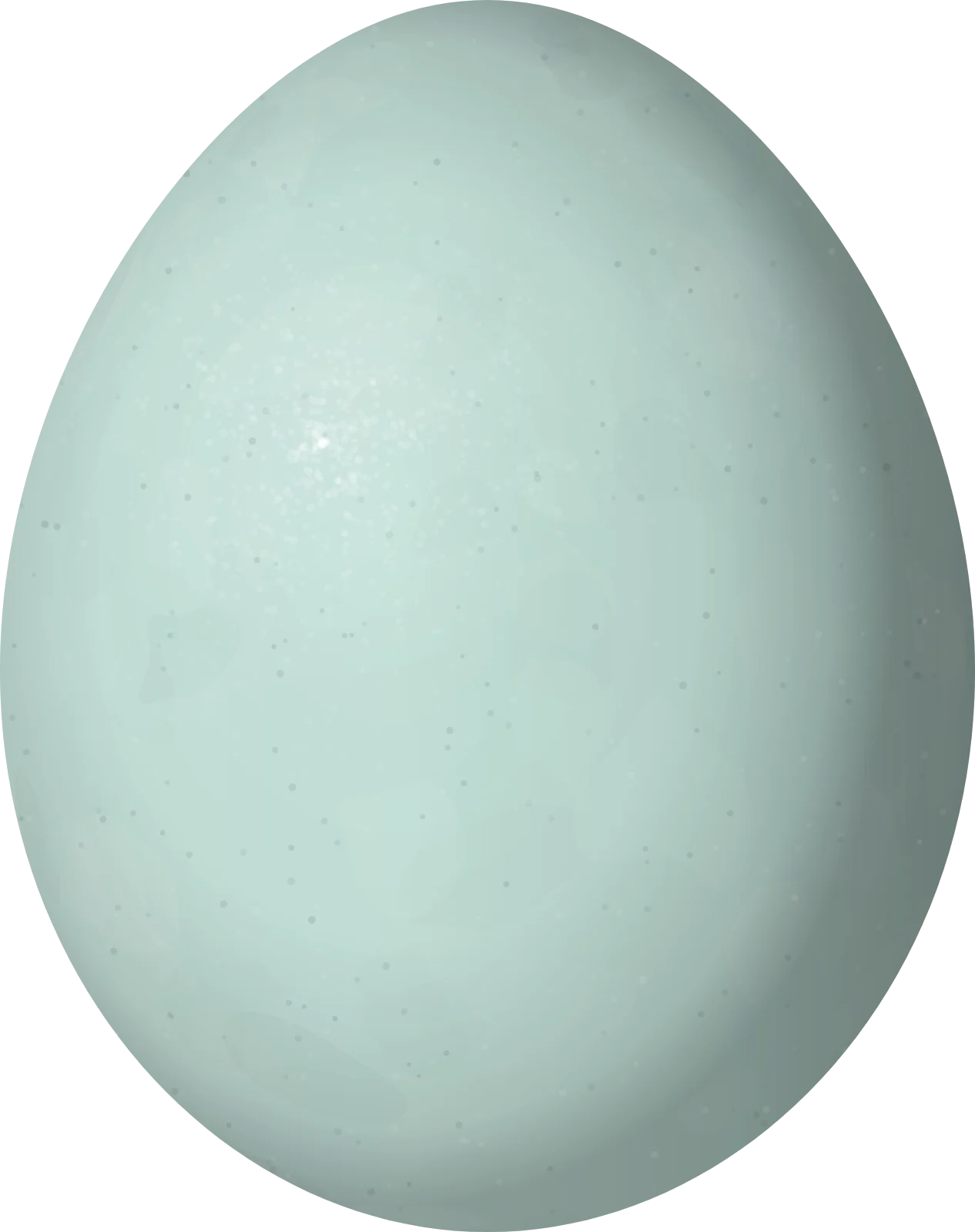 Illustration of a Bronzed Cowbird (Molothrus aeneus) egg, 23.11 × 18.29 mm