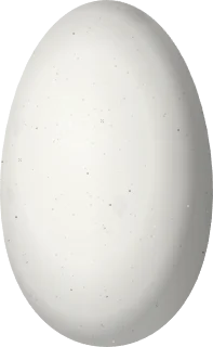 Illustration of a Bronzy Inca (Coeligena coeligena) egg, 16.1 × 9.9 mm
