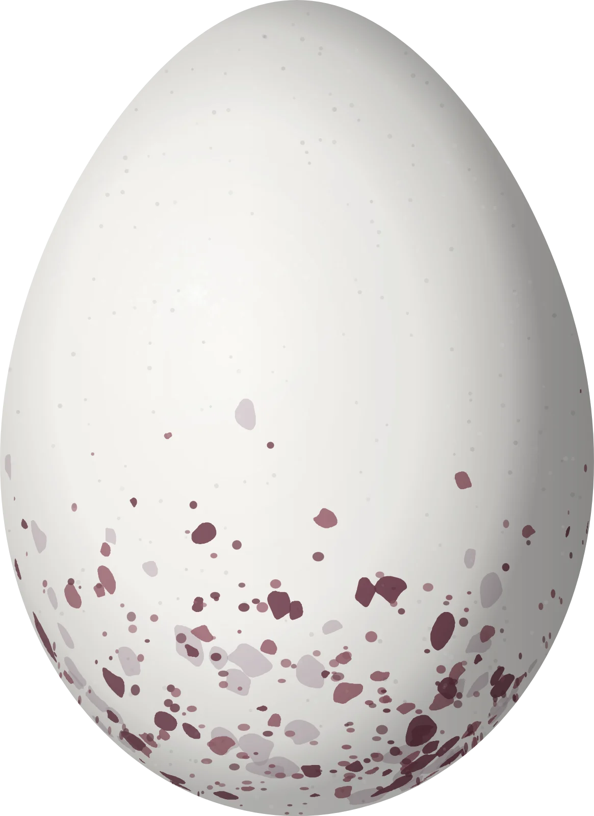 Illustration of a Brown-breasted Bamboo Tyrant (Hemitriccus obsoletus) egg, 18.4 × 13.4 mm