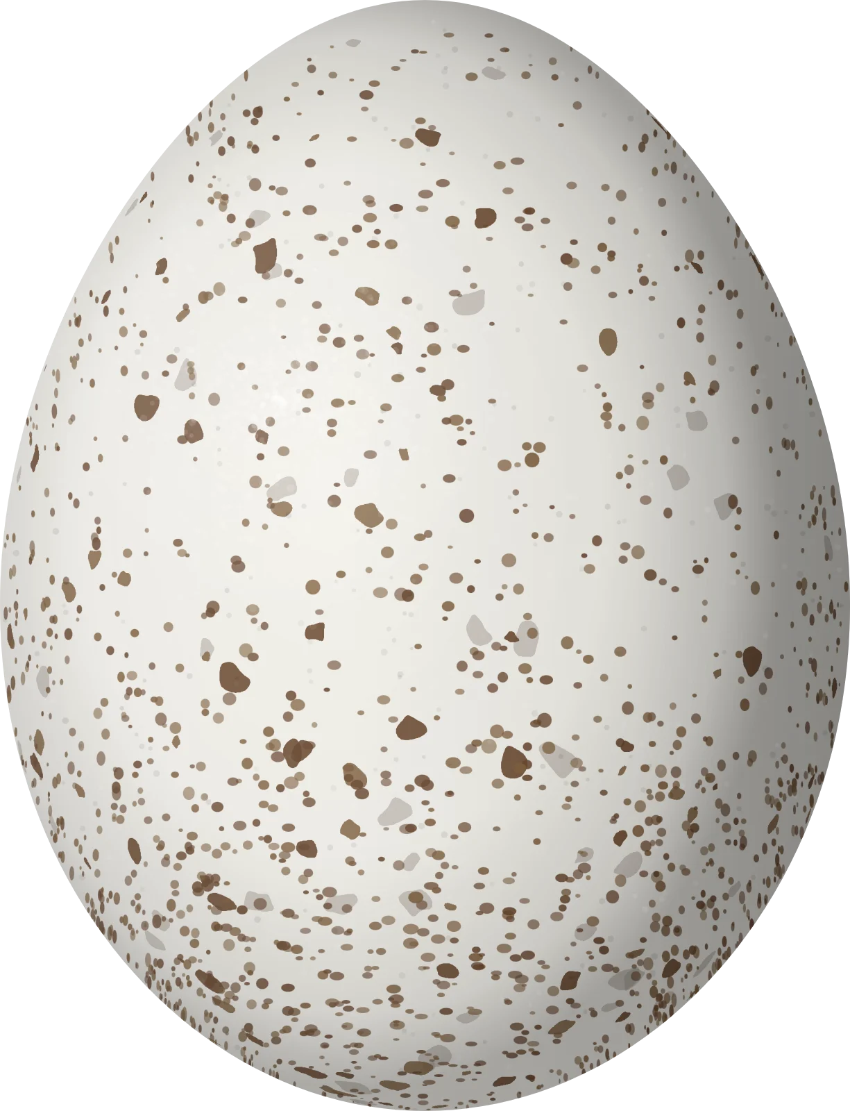 Illustration of a Brown-headed Cowbird (Molothrus ater) egg, 21.45 × 16.42 mm