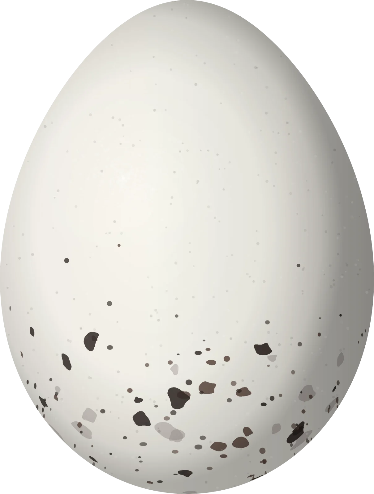 Illustration of a Brown-headed Greenlet (Hylophilus brunneiceps) egg, 21.3 × 16.1 mm
