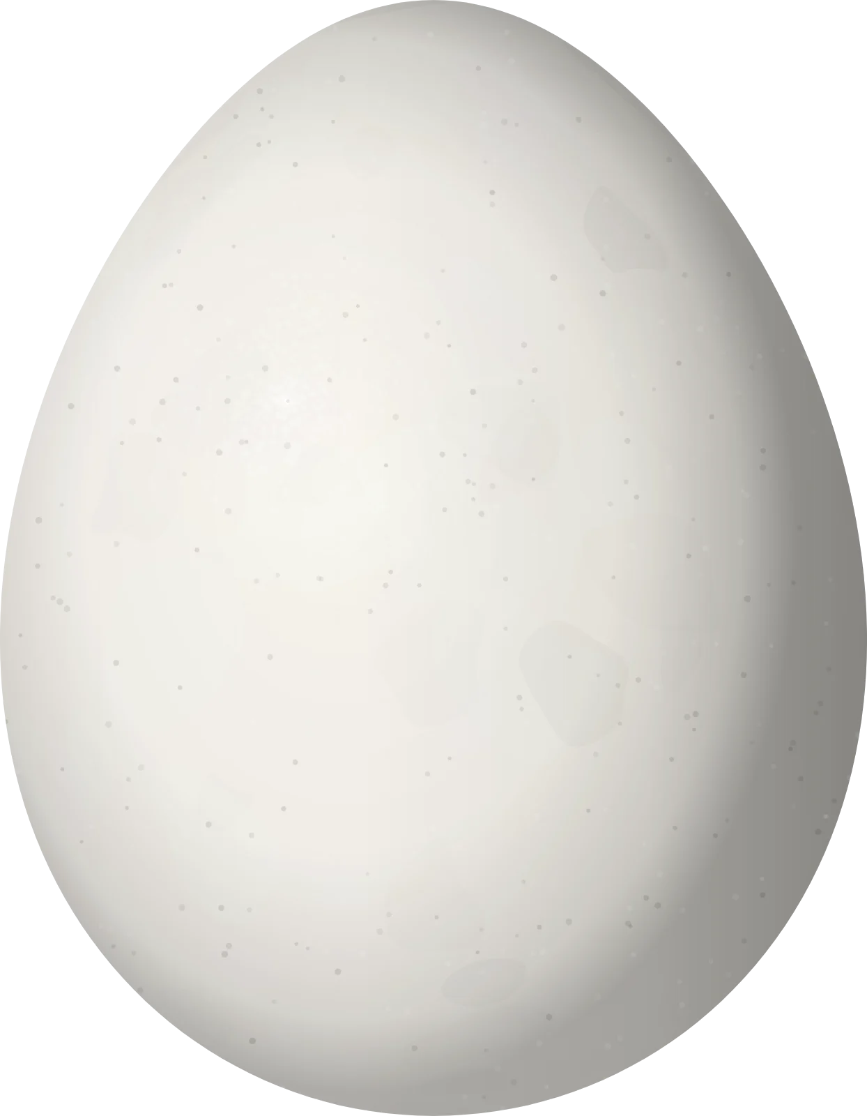 Illustration of a Brown-rumped Tapaculo (Scytalopus latebricola) egg, 22.9 × 17.8 mm