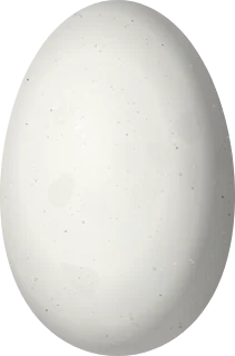 Illustration of a Brown Violetear (Colibri delphinae) egg, 13.9 × 9.15 mm