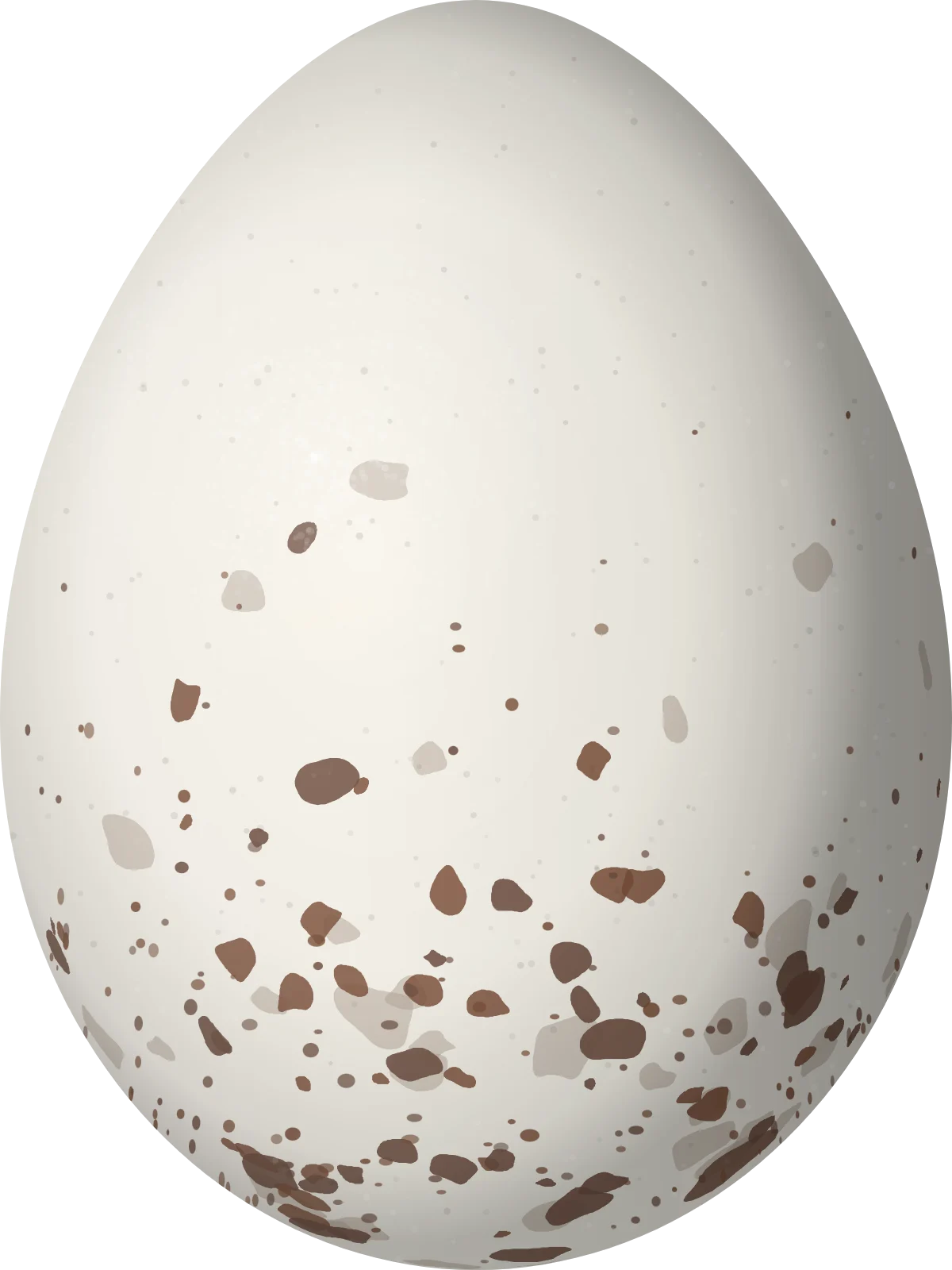 Illustration of a Brownish Twistwing (Cnipodectes subbrunneus) egg, 19.2 × 14.4 mm