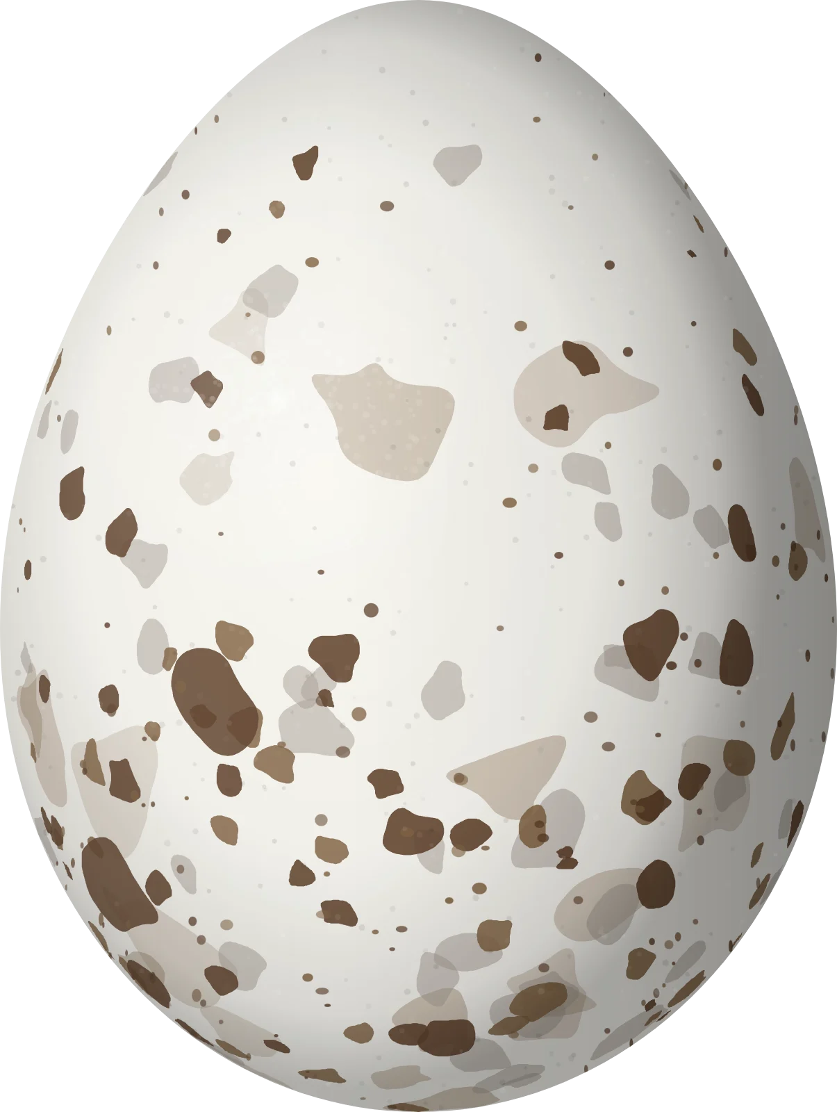 Illustration of a Brujo Flycatcher (Pyrocephalus nanus) egg, 17.4 × 13.1 mm