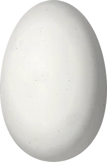 Illustration of a Buff-bellied Hermit (Phaethornis subochraceus) egg, 14.2 × 9.4 mm
