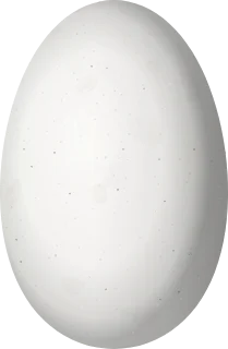 Illustration of a Buff-bellied Hummingbird (Amazilia yucatanensis) egg, 13.24 × 8.65 mm