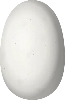 Buff-bellied Hummingbird egg, 13.24 × 8.65 mm