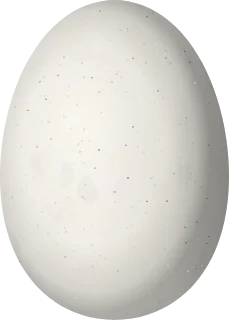 Illustration of a Buff-breasted Sabrewing (Campylopterus duidae) egg, 15.5 × 11.1 mm