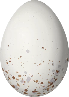 Illustration of a Buff-breasted Wren (Cantorchilus leucotis) egg, 20.6 × 14.8 mm