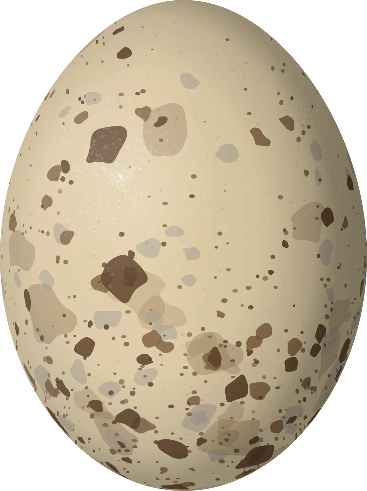 Illustration of a Buff-collared Nightjar (Antrostomus ridgwayi) egg, 29.4 × 22 mm
