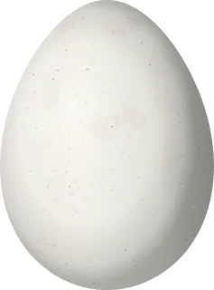 Illustration of a Buff-fronted Foliage-gleaner (Dendroma rufa) egg, 23.6 × 17.5 mm