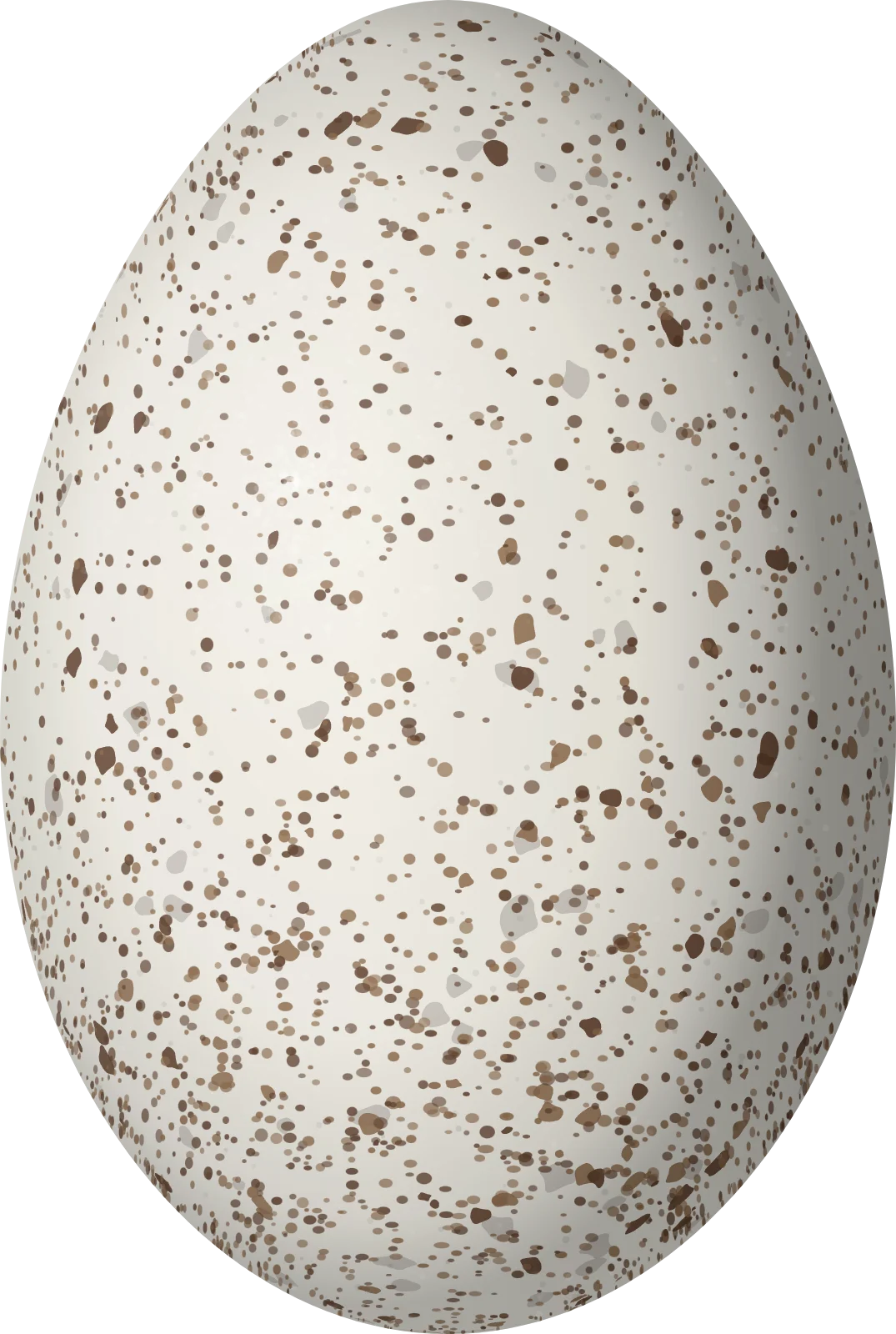 Illustration of a Buff-necked Ibis (Theristicus caudatus) egg, 64 × 43 mm