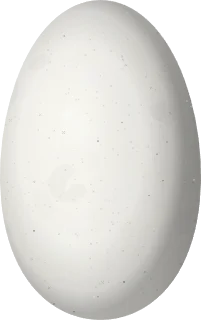 Illustration of a Buff-tailed Coronet (Boissonneaua flavescens) egg, 15.1 × 9.5 mm