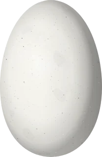 Illustration of a Buff-thighed Puffleg (Haplophaedia assimilis) egg, 13.7 × 8.9 mm