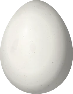 Illustration of a Buff-winged Cinclodes (Cinclodes fuscus) egg, 26.1 × 20.3 mm