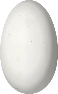 Illustration of a Buff-winged Starfrontlet (Coeligena lutetiae) egg, 16.1 × 9.9 mm
