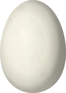 Bufflehead egg, 48.5 × 34.7 mm