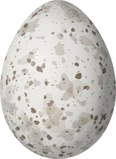 Illustration of a Buffy-fronted Seedeater (Sporophila frontalis) egg, 17.8 × 13 mm