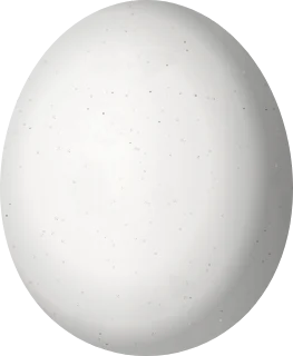 Burrowing Owl egg, 31 × 25.5 mm