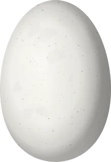 Illustration of a Butterfly Coquette (Lophornis verreauxii) egg, 11.4 × 7.8 mm