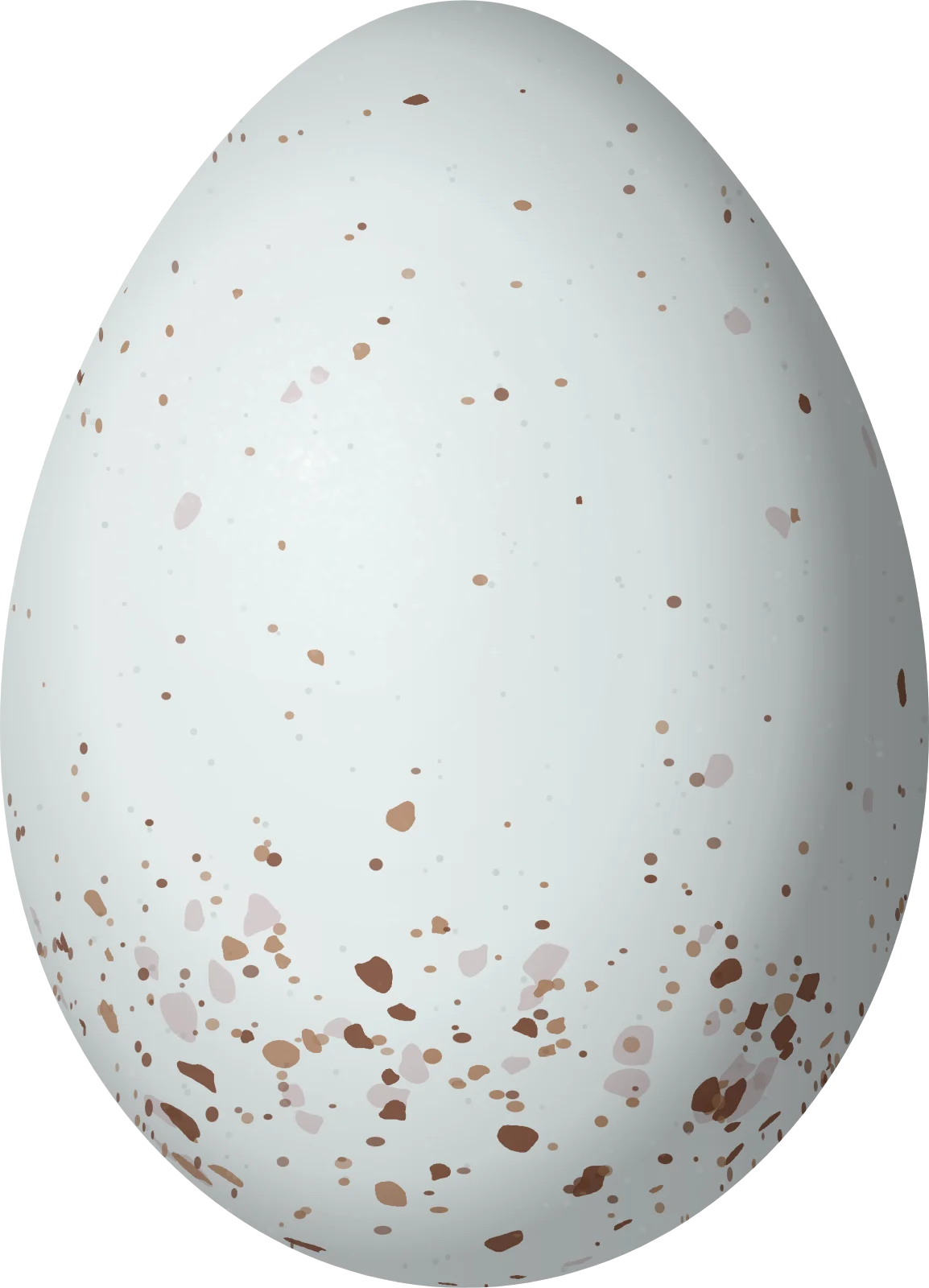 Illustration of a Cabanis's Ground Sparrow (Melozone cabanisi) egg, 23.3 × 16.8 mm