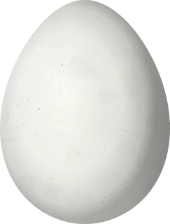 Illustration of a Cabanis's Spinetail (Synallaxis cabanisi) egg, 20.3 × 15.4 mm