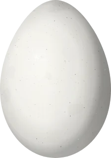 Illustration of a Cabanis's Wren (Cantorchilus modestus) egg, 21.9 × 15.3 mm