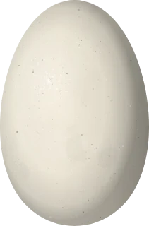 Cackling Goose egg, 72.7 × 48 mm