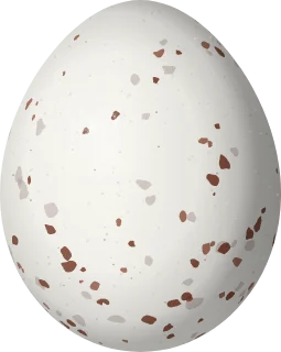 California Gnatcatcher egg, 14.3 × 11.4 mm