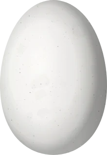 Illustration of a Calliope Hummingbird (Selasphorus calliope) egg, 12.1 × 8.3 mm