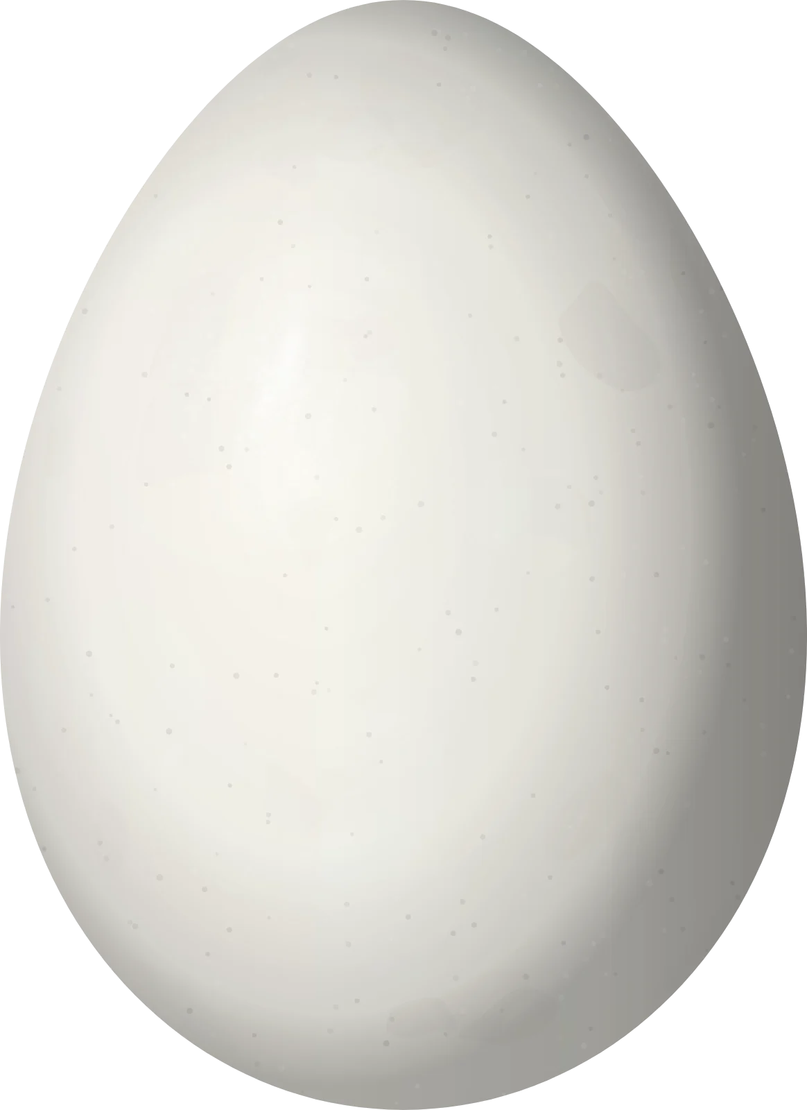 Illustration of a Campo Miner (Geositta poeciloptera) egg, 24.6 × 17.9 mm