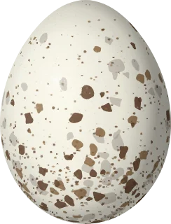 Canada Warbler egg, 17.2 × 13.1 mm