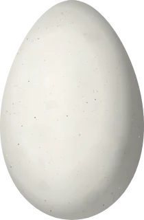 Illustration of a Canebrake Groundcreeper (Clibanornis dendrocolaptoides) egg, 31.4 × 20.6 mm