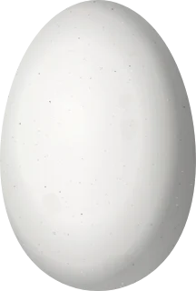 Illustration of a Canivet's Emerald (Cynanthus canivetii) egg, 12.6 × 8.5 mm
