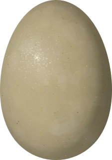 Canvasback egg, 62.2 × 43.7 mm