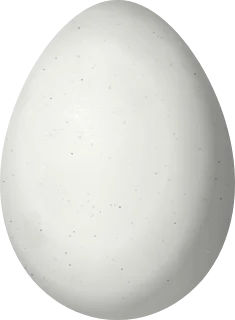 Illustration of a Canyon Canastero (Asthenes pudibunda) egg, 22.5 × 16.5 mm