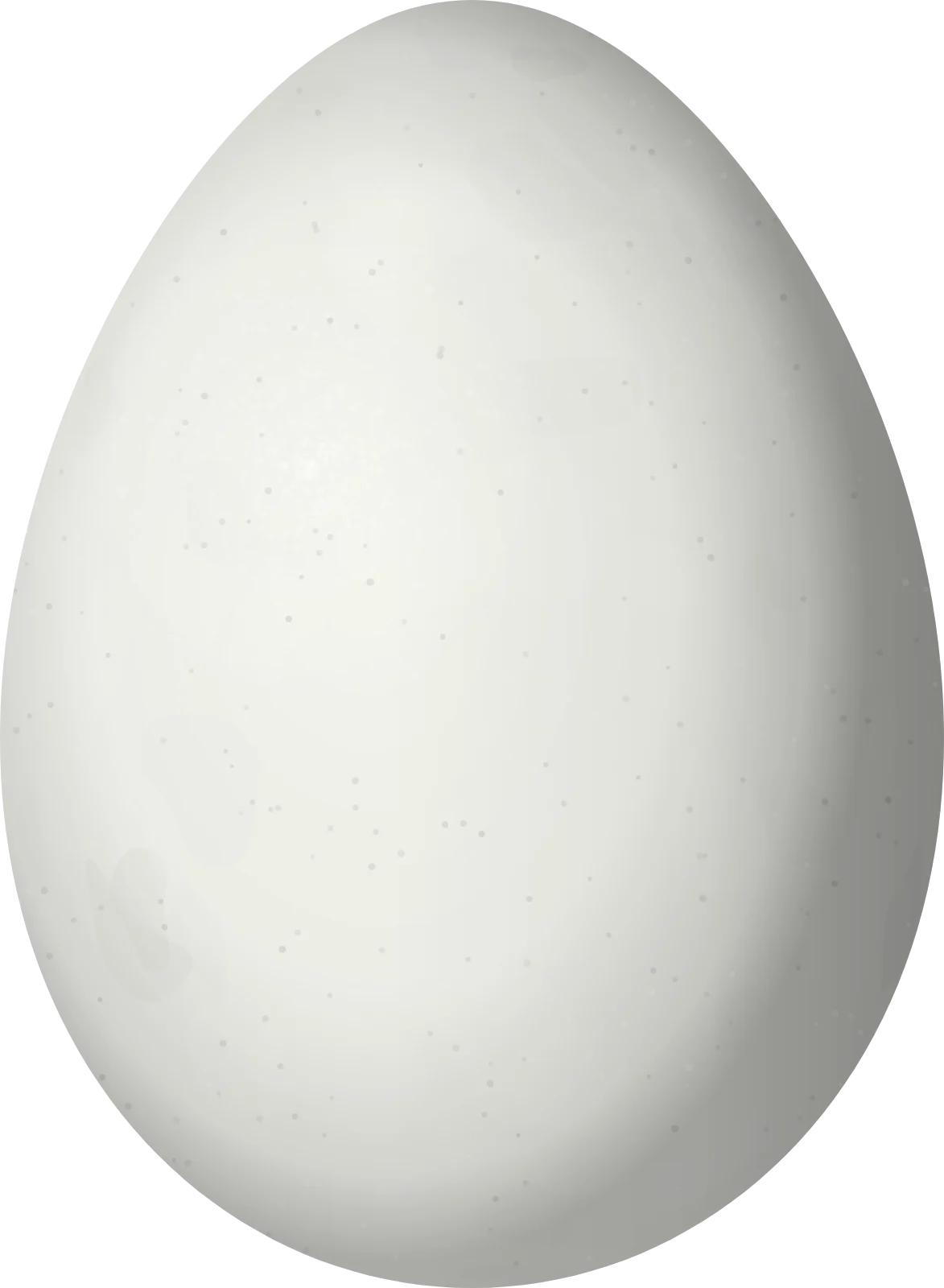 Illustration of a Canyon Canastero (Asthenes pudibunda) egg, 22.5 × 16.5 mm